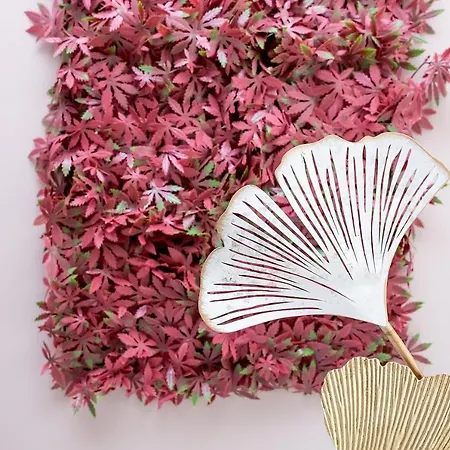 Bhost - Regina Appartamento Cordova